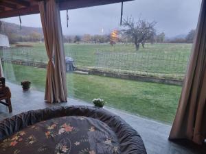 Zahrada ubytování Villa Nikol Apt #2