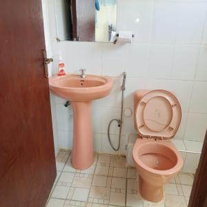 Amani -Zuriel homes 2 Bedroom Apartment في Kakamega: حمام به مرحاض وردي ومغسلة