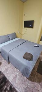 una camera da letto con un grande letto e una televisione a parete di Cantinho bom! a Manaus