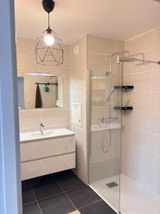 Un baño con ducha de cristal y lavabo. en Maison chaleureuse, en Puteaux 6 fotos más