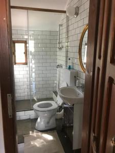 a bathroom with a toilet and a sink at Casa Nopcea in Silvaşu de Sus