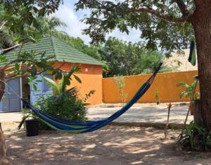 a blue hammock hanging from a tree in front of a house at Case sauvage in Diana