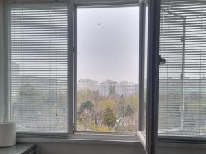 2 finestre in una camera con vista sulla città di Ezzely apartment ParkLake a Bucarest Altre 2 foto
