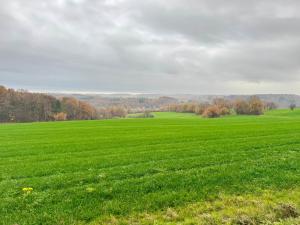 a field of green grass with trees in the background at Landhaus im Grünen in Mudenbach
