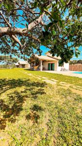 a tree in a field with a house in the background at Vila Arcanjo in Santana do Riacho