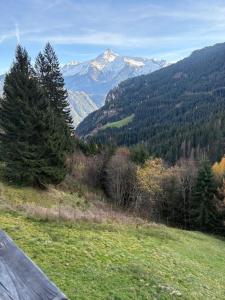 Blick auf einen Berg von einer Straße in der Unterkunft Schäferhütte - Zillertal in Grün