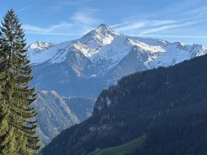 ein schneebedeckter Berg in der Ferne mit einem Baum in der Unterkunft Schäferhütte - Zillertal in Grün + 3 Fotos