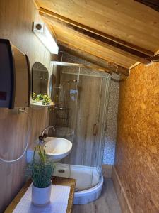 ein Badezimmer mit Dusche, Waschbecken und Toilette in der Unterkunft Schäferhütte - Zillertal in Grün
