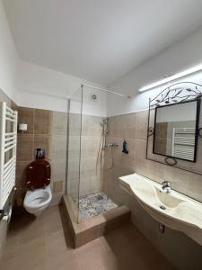 Imagen de la galería de Complex Padina Ursului Fundata, en Fundata