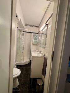 克拉约瓦English Park Residence的带马桶和水槽的小浴室 更多10张照片