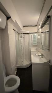 克拉约瓦English Park Residence的浴室里有马桶、淋浴和洗手池。