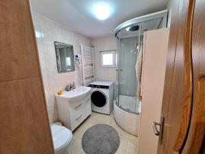 a bathroom with a sink and a washing machine at Rustic Breeze Azuga - BBQ, Fireplace and Parking in Azuga +15 photos