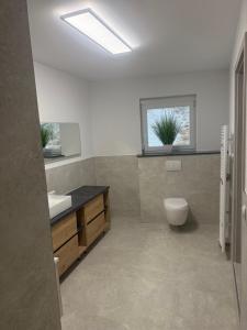 un bagno con un water, un lavandino e una finestra di KRAICHGAU # Ein Haus mit 3 Schlafzimmer und Terrasse a Ittlingen
