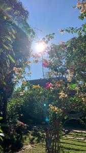 Φωτογραφία από το άλμπουμ του Encanto das Flores σε Colinas Do Sul