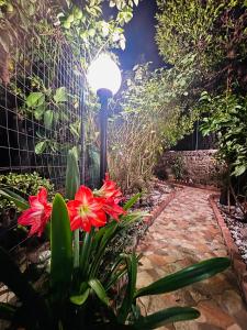 Zahrada ubytování Casa Vacanze "Il Giardino"