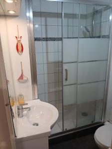 une salle de bain avec lavabo et douche dans l'établissement Granville hyper centre, à Granville