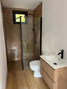 a bathroom with a toilet and a shower and a sink at Arbor in Vadul lui Carol II