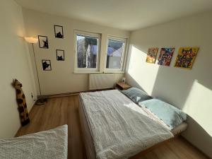 a bedroom with a bed and a window and a guitar at Apartmán Kocourkov in Jáchymov