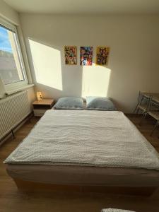 a bedroom with a large bed and a window at Apartmán Kocourkov in Jáchymov