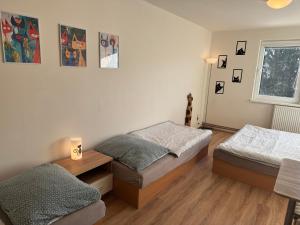 a bedroom with two beds and a window at Apartmán Kocourkov in Jáchymov