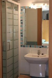 een badkamer met een wastafel en een spiegel bij Hostal Valle del Iregua in Albelda de Iregua