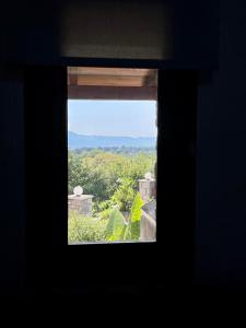 Φυσικό τοπίο κοντά σε αυτό το διαμέρισμα