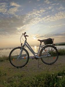 Ciclism la sau în apropiere de Ferienwohnung BoddenBee