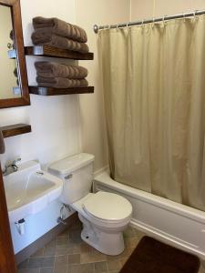 Koupelna v ubytování Scenic View Motel & RV Park