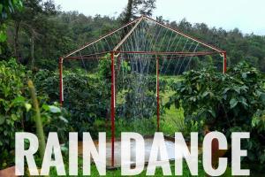 瑟格莱什布尔Veeras Western Sparrow Homestay的相册照片