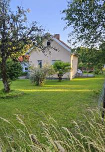 Κήπος έξω από το Little Cabin