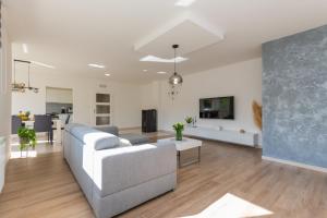 un soggiorno con un divano e una TV di Villa Josip a Grubine