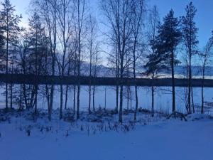 een met sneeuw bedekt veld met bomen en een meer bij Toivon pieni rantamökki in Sonka