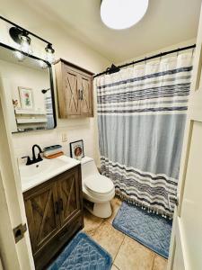 ein Badezimmer mit Toilette, Waschbecken und Dusche in der Unterkunft Zen Den Beach House Bungalow in St Petersburg