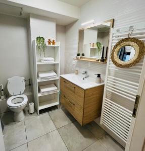 een badkamer met een toilet, een wastafel en een spiegel bij Alsace's Home in Geispolsheim