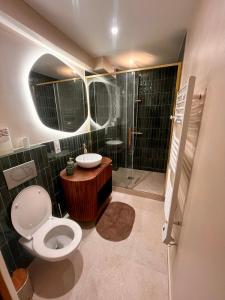 een badkamer met een toilet, een wastafel en een douche bij Studio L'oasis Ensoleillé in Cuers