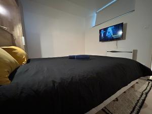 ein Schlafzimmer mit einem Bett und einem Flachbildfernseher in der Unterkunft T2 au cœur de Niort, proche marché & Port Boinot in Niort