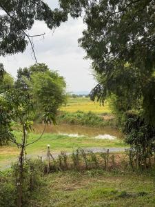 una persona caminando por un camino de tierra en un campo en รุ้งรวีรีสอร์ท 1, en Ban Nong Saeng (4)
