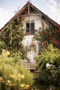 Zahrada ubytování Die Landhofmühle