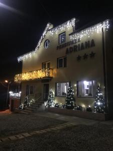 Billede fra billedgalleriet på Pensiunea Adriana Straja i Straja