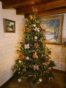 Φωτογραφία από το άλμπουμ του Hof van Lapscheure σε Damme