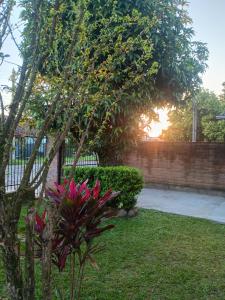 a tree with pink flowers next to a fence at Casa Riachuelo in Genuino Sampaio