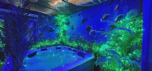 Fotografie z fotogalerie ubytování Apartament WODNY RAJ v destinaci Řešov