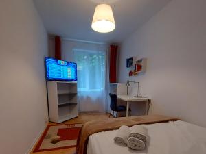 a bedroom with a bed with a tv and a desk at Sunflower apt in Timişoara