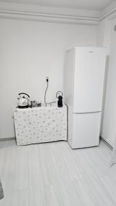 Kuchyň nebo kuchyňský kout v ubytování Relax studio Craiovita