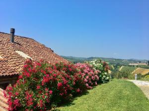 a row of flowers on the side of a house at Casa Nizza D'Oro in Castelnuovo