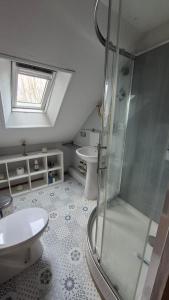 a bathroom with a shower and a toilet and a sink at Les gîtes de la salamandre in Callac