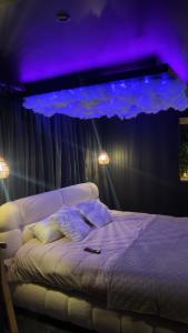 a bedroom with a bed with purple lights on it at Ecrin secret in Aubagne