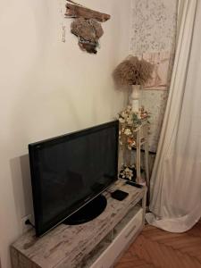TV a/nebo společenská místnost v ubytování Apartment THEA 100m2 for 5 guests