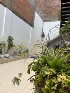 Zahrada ubytování Elincape