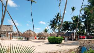 Zahrada ubytování Beach Lounge Suites Punta Cana 1